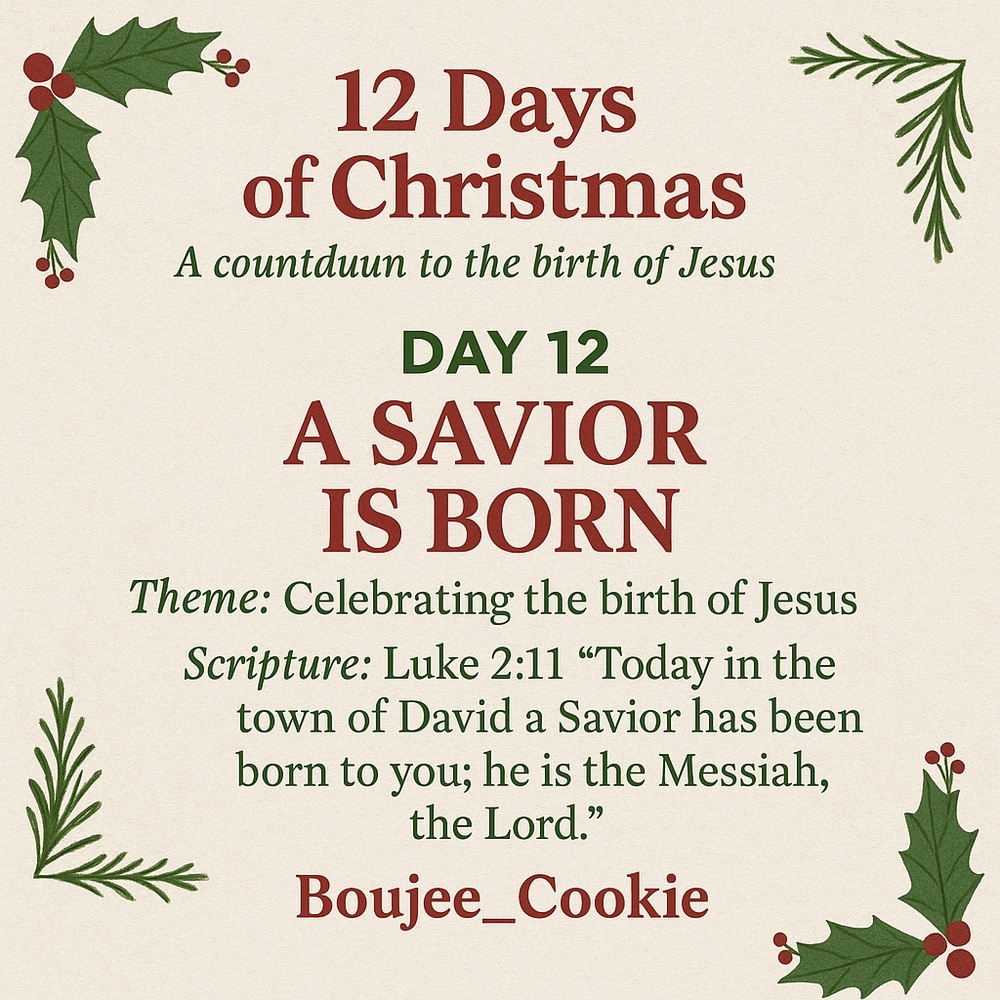 Day 12 of 12 Days of Christmas!!
12/13/25 5:30pm CST
❤️Cohost: @shellcat